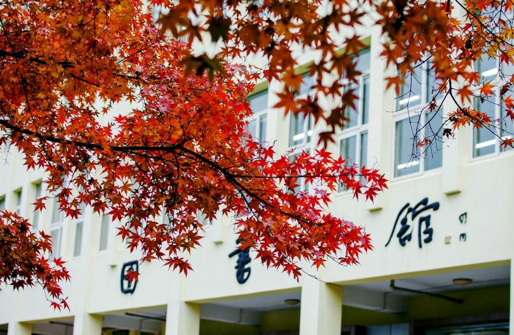AW(xu)BW(xu)ô^(q)ֵģ҇(gu)ЎpһӋ(j)AW(xu)