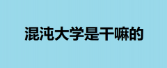 W(xu)ǸCÆʲôôϻW(xu)
