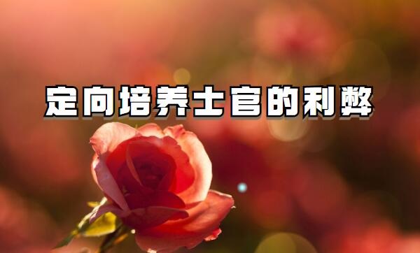 ʿٌW(xu)УĈ(bo)lΣB(yng)ʿٵЩ